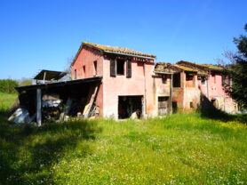 Agenzia Immobiliare Caporalini - Terreno agricolo - Annuncio SS860-1 - Foto: 12