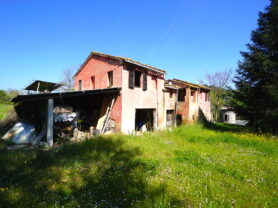Agenzia Immobiliare Caporalini - Terreno agricolo - Annuncio SS860-1 - Foto: 11