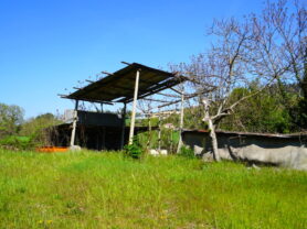 Agenzia Immobiliare Caporalini - Terreno agricolo - Annuncio SS860-1 - Foto: 9