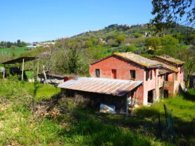 Agenzia Immobiliare Caporalini - Casa colonica - Annuncio SS860 - Foto: 5