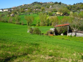 Agenzia Immobiliare Caporalini - Casa colonica - Annuncio SS860 - Foto: 6