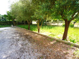 Agenzia Immobiliare Caporalini - Casa bifamiliare - Annuncio SS783 - Foto: 5