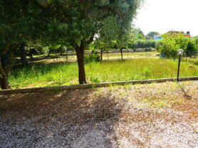 Agenzia Immobiliare Caporalini - Casa bifamiliare - Annuncio SS783 - Foto: 6