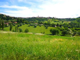 Agenzia Immobiliare Caporalini - Casa singola - Annuncio SS863 - Foto: 101