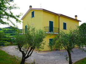 Agenzia Immobiliare Caporalini - Casa singola - Annuncio SS863 - Foto: 12