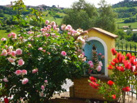 Agenzia Immobiliare Caporalini - Casa singola - Annuncio SS863 - Foto: 89