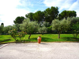 Agenzia Immobiliare Caporalini - Casa singola - Annuncio SS863 - Foto: 91