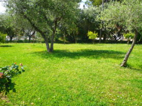 Agenzia Immobiliare Caporalini - Casa singola - Annuncio SS863 - Foto: 92