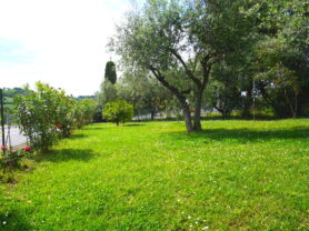 Agenzia Immobiliare Caporalini - Casa singola - Annuncio SS863 - Foto: 93