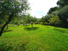 Agenzia Immobiliare Caporalini - Casa singola - Annuncio SS863 - Foto: 94