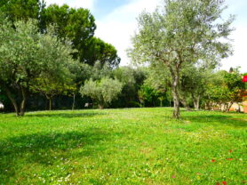 Agenzia Immobiliare Caporalini - Casa singola - Annuncio SS863 - Foto: 96