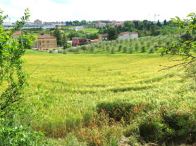 Agenzia Immobiliare Caporalini - Casa singola - Annuncio SS811 - Foto: 55