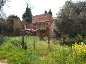Agenzia Immobiliare Caporalini - Rustico/Casale - Annuncio SS862 - Foto: 0