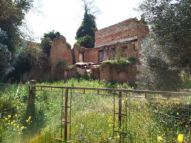 Agenzia Immobiliare Caporalini - Rustico/Casale - Annuncio SS862 - Foto: 1