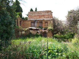Agenzia Immobiliare Caporalini - Rustico/Casale - Annuncio SS862 - Foto: 2