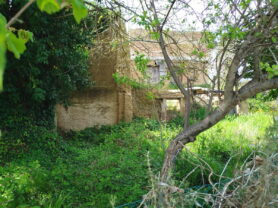 Agenzia Immobiliare Caporalini - Rustico/Casale - Annuncio SS862 - Foto: 3