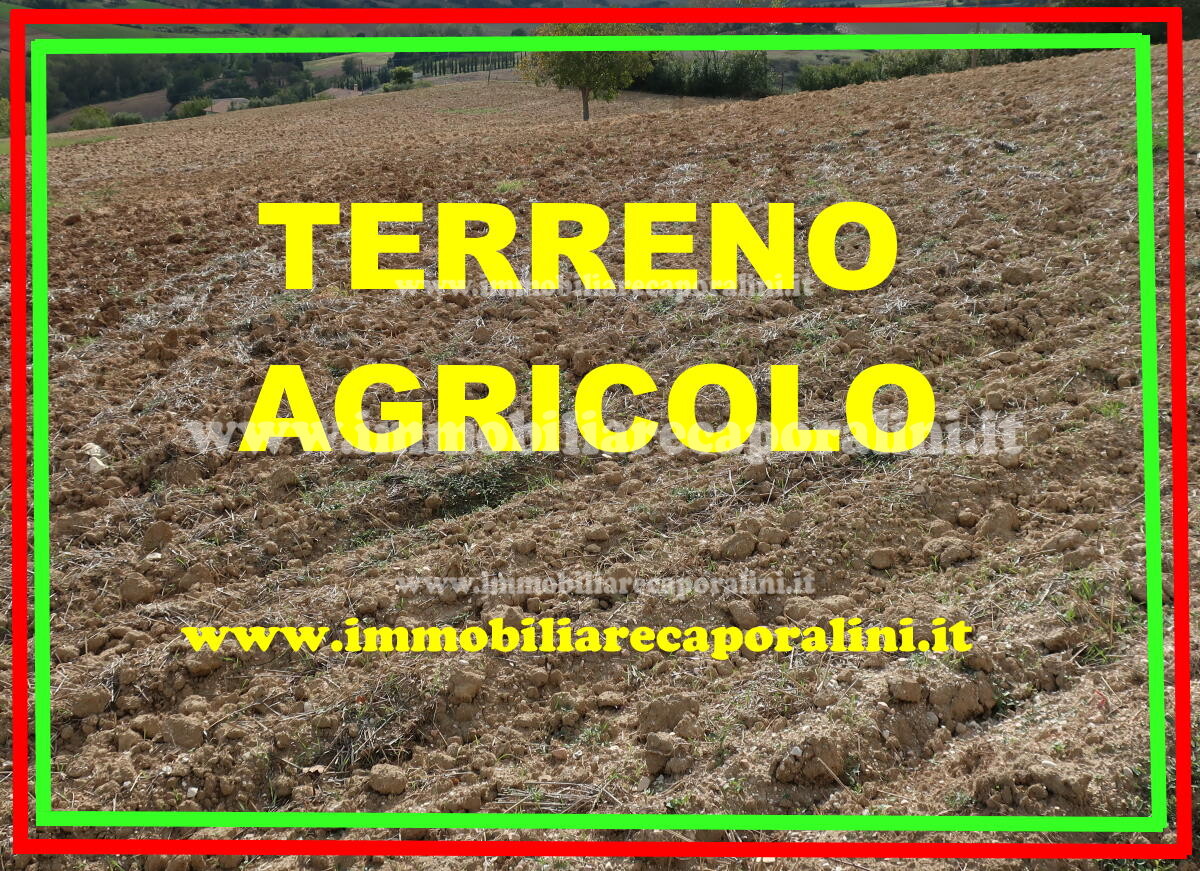 Agenzia Immobiliare Caporalini - Terreno agricolo - Annuncio SR1152
