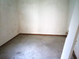 Agenzia Immobiliare Caporalini - Magazzino - Annuncio SS849 - Foto: 10