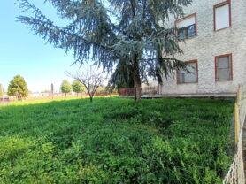 Agenzia Immobiliare Caporalini - Magazzino - Annuncio SS849 - Foto: 14