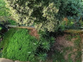 Agenzia Immobiliare Caporalini - Appartamento - Annuncio SS831 - Foto: 36