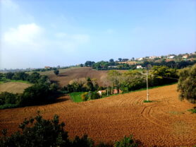 Agenzia Immobiliare Caporalini - Appartamento - Annuncio SS831 - Foto: 37