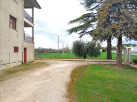 Agenzia Immobiliare Caporalini - Appartamento - Annuncio SS856 - Foto: 57