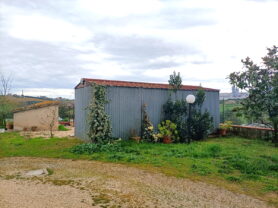 Agenzia Immobiliare Caporalini - Appartamento - Annuncio SS856 - Foto: 60