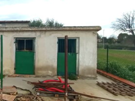 Agenzia Immobiliare Caporalini - Appartamento - Annuncio SS856 - Foto: 62