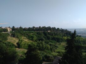 Agenzia Immobiliare Caporalini - Appartamento - Annuncio SR1117 - Foto: 14