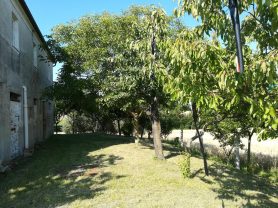 Immobiliare Caporalini real-estate agency - Farmhouse or Country House - Ad SS583 - Picture: 3