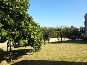Immobiliare Caporalini real-estate agency - Farmhouse or Country House - Ad SS583 - Picture: 5