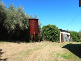 Immobiliare Caporalini real-estate agency - Farmhouse or Country House - Ad SS724 - Picture: 11