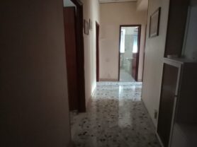 Agenzia Immobiliare Caporalini - Appartamento - Annuncio SR1180 - Foto: 12