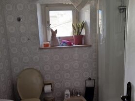 Agenzia Immobiliare Caporalini - Appartamento - Annuncio SR1214 - Foto: 6