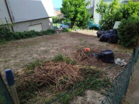 Agenzia Immobiliare Caporalini - Appartamento - Annuncio SR1215 - Foto: 16