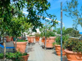 Agenzia Immobiliare Caporalini - Appartamento - Annuncio SR1210 - Foto: 16