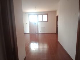 Agenzia Immobiliare Caporalini - Appartamento - Annuncio SR1160 - Foto: 3